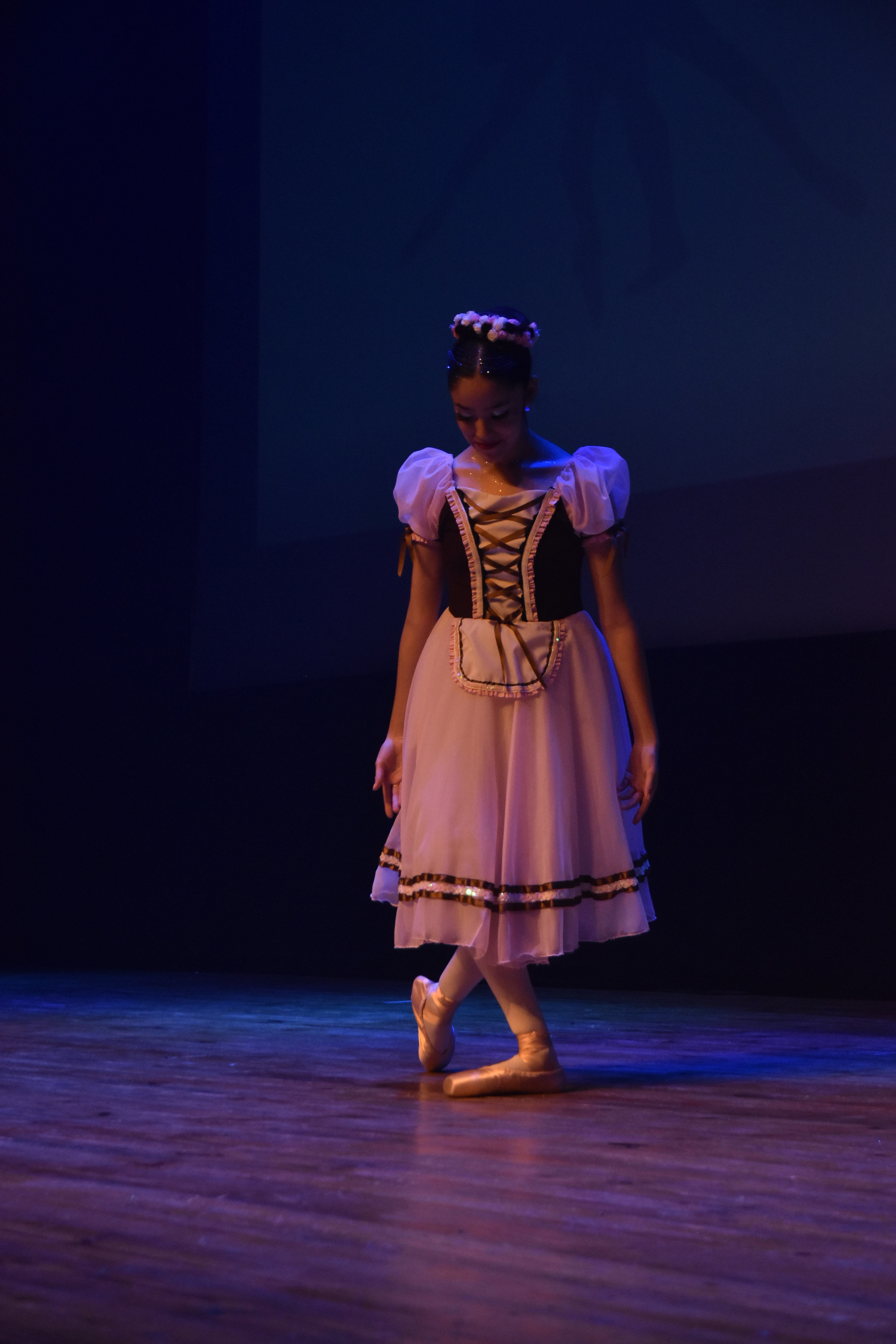 Ballet shoes
